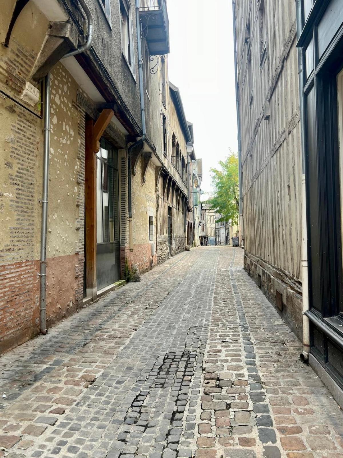 Ferienwohnung Hyper Centre Le Cozy Colbert Troyes Exterior foto